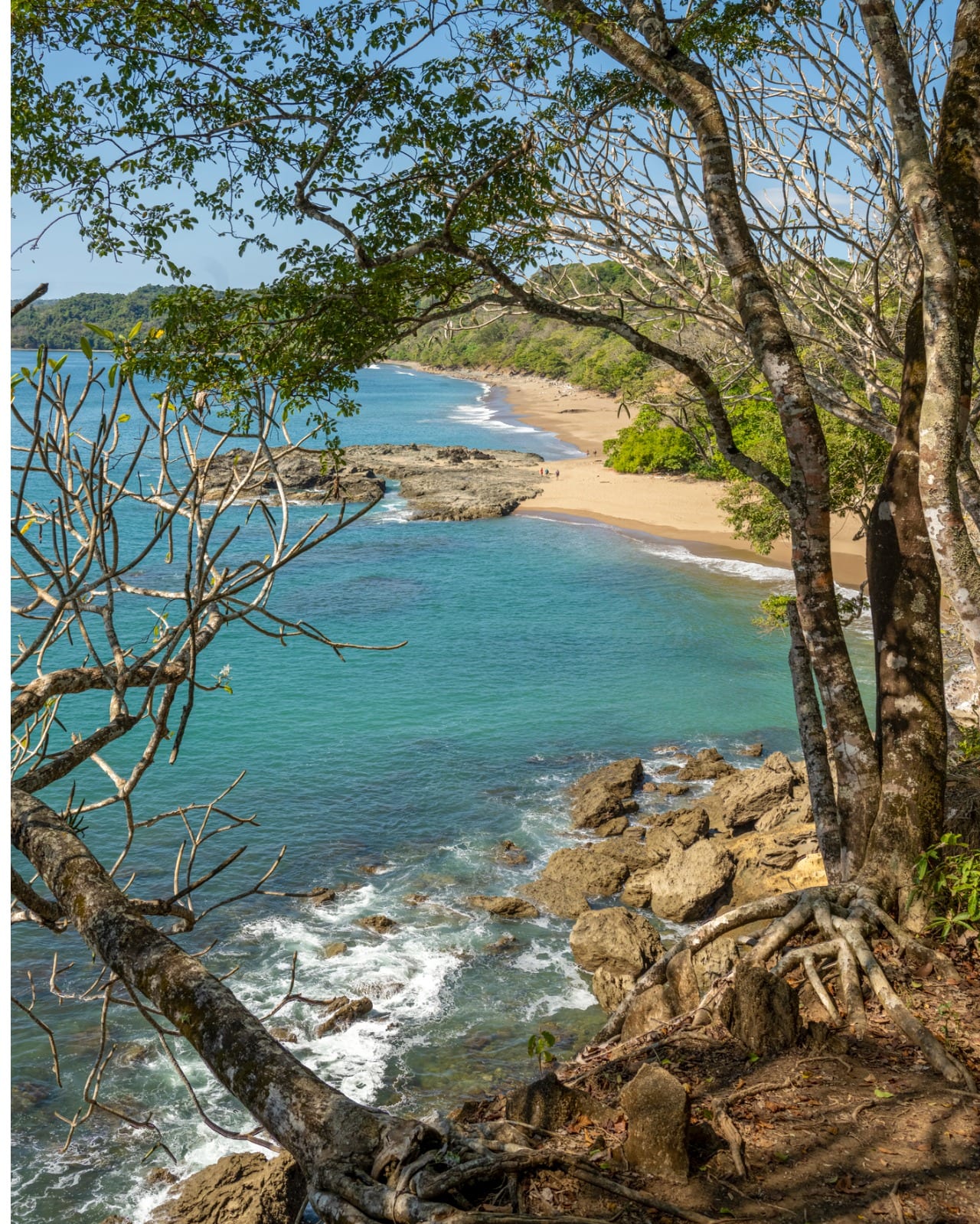 cocita falls nicoya blue zone